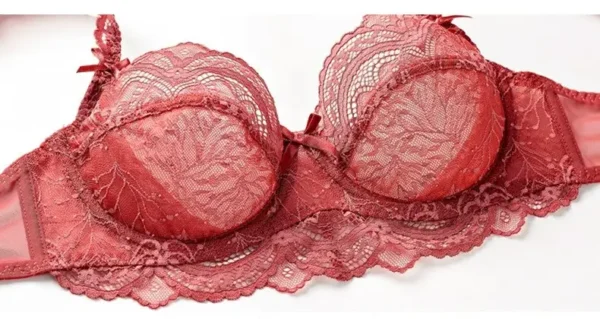 details sponge-free lace bra in summer